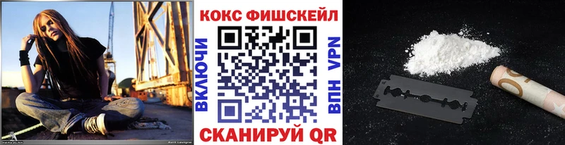 Кокаин Fish Scale  blacksprut зеркало  Берёзовский  купить наркотики цена 